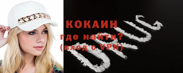 прущие грибы Переславль-Залесский
