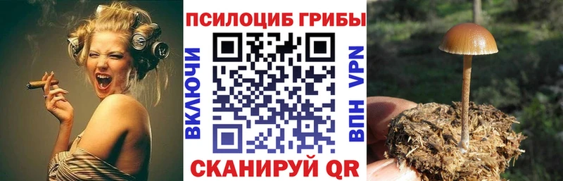 Галлюциногенные грибы мухоморы  МЕГА   Терек 